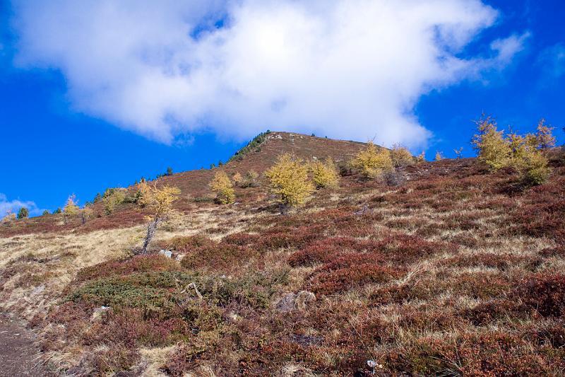 Mayrhofen 2008 (1 von 1)-2.jpg